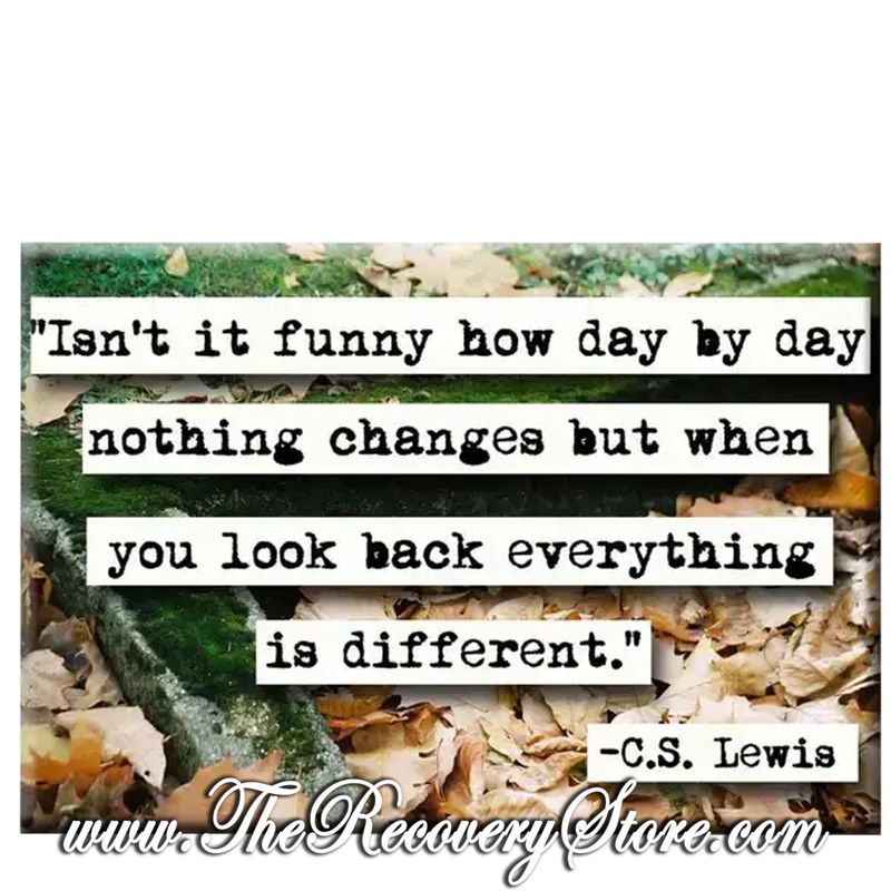 Magnet - C S Lewis Day by Day Quote