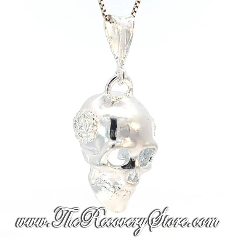 Sterling Silver Skull Pendant With AA Symbol