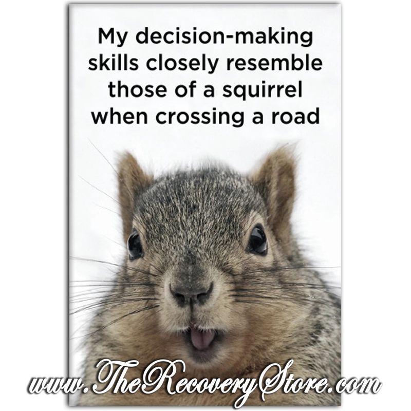 Magnet - My Decision-Making Skills Closely Resemble