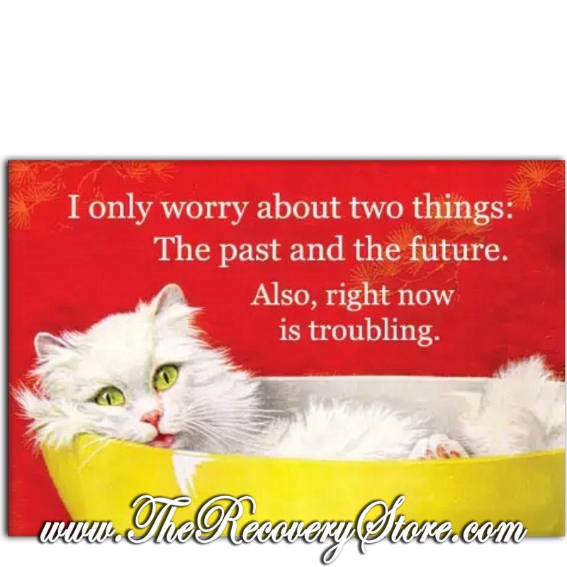 Magnet - I Only Worry About Two Things