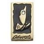 06. AMB - Your Voice, Your World Pin