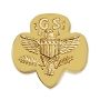 GS Traditional Pin