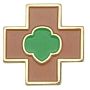 BR - Safety Award Pin
