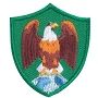 Troop Crest - Eagle