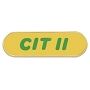 CIT II Counselor in Training 2