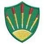 Troop Crest - Sun