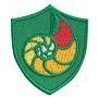 Troop Crest - Nautilus Shell