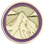 JR - Summit Pin