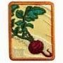 SR - Locavore