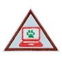 BR - Cybersecurity Safeguards