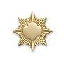 Gold Award Parent Mini Pin