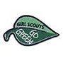 Fun Patch - Go Green Leaf