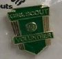 Volunteer Service Award Pin  - 20 Years