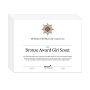 12. Bronze Award Certificate - New