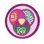 JR - Stem Career Exploration