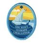 14. Climate Challenge Patch