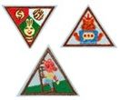 2. Brownie Earned Awards