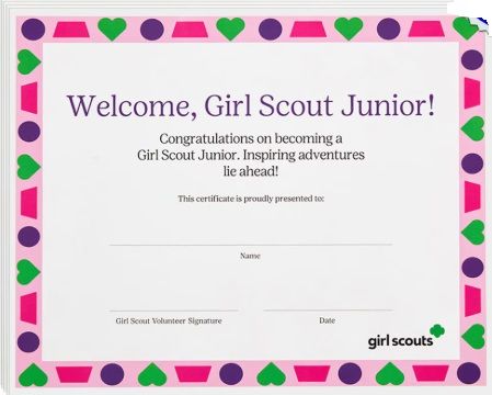 09. Junior Bridging Certficate