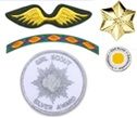 8. Official Insignia