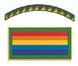 6. Ambassador Insignia