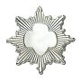Silver Award Pin