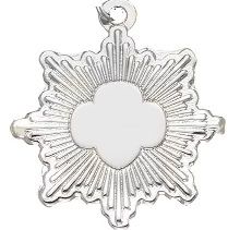Silver Award Charm