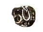 Membership Numeral Guard 50 Years