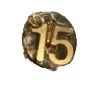 Membership Numeral Guard 15 Years