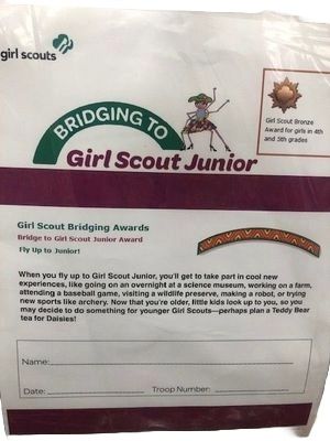 2. Bridging Kit - Junior