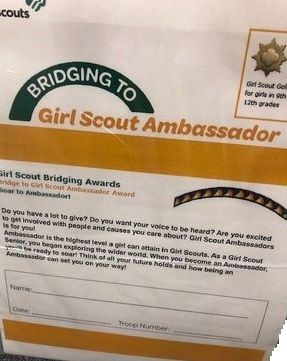 5. Bridging Kit - Ambassador