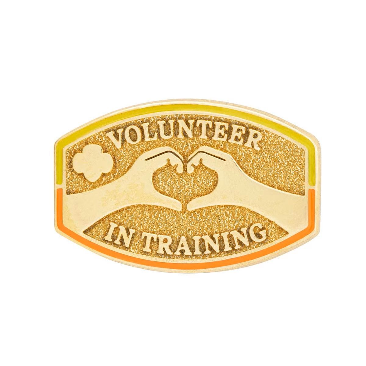 Volunteer in Training Award Pin