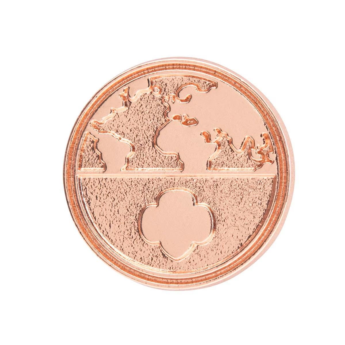 Global Action Award Pin