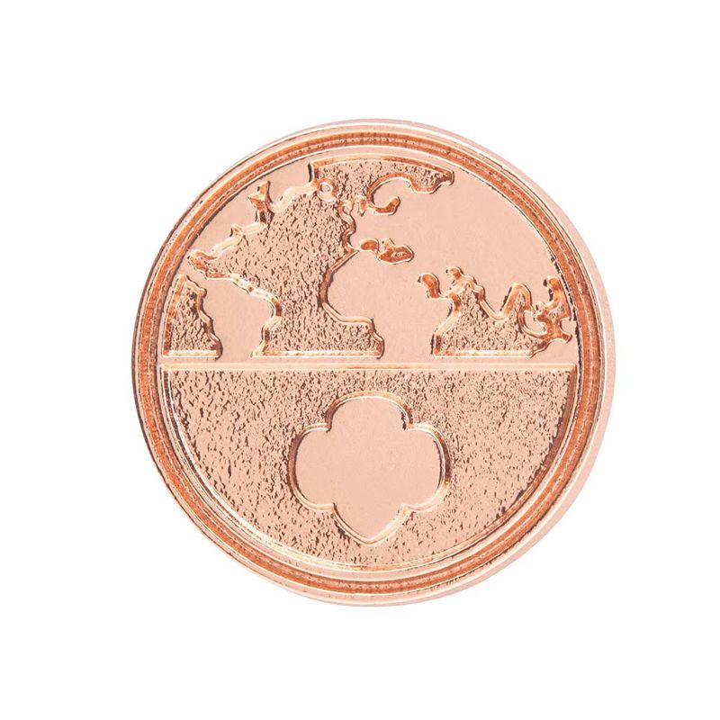 Global Action Award Pin