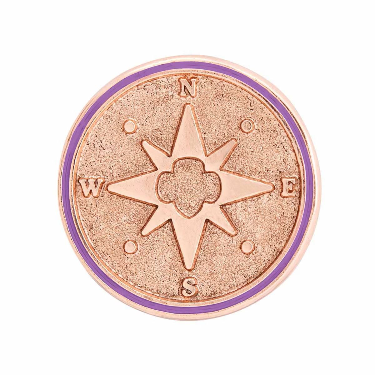 Junior True North Award Pin