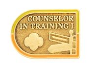 Counselor in Training I Award Pin