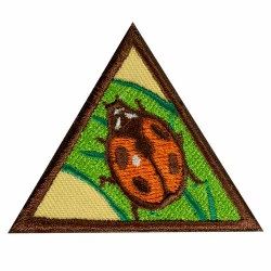 BR - Bugs