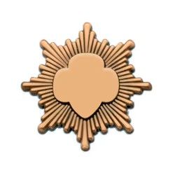 Bronze Award Pin