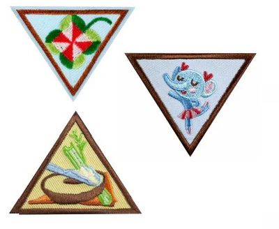 2. Brownie Earned Awards