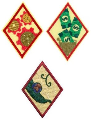 4. Cadette Earned Awards