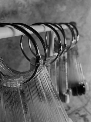 Organization
