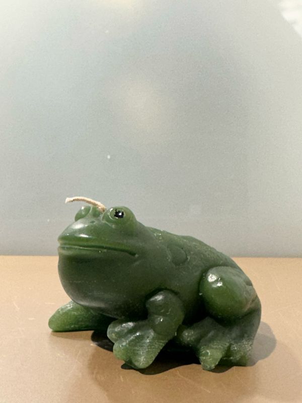 Kikker kaars Groen