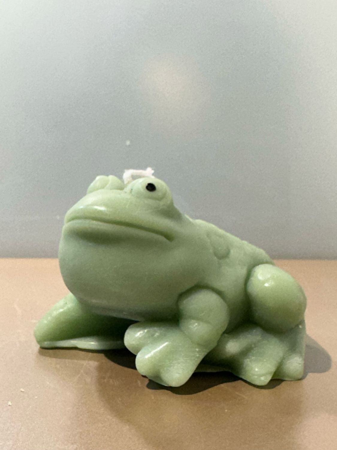 Kikker kaars Mos Groen