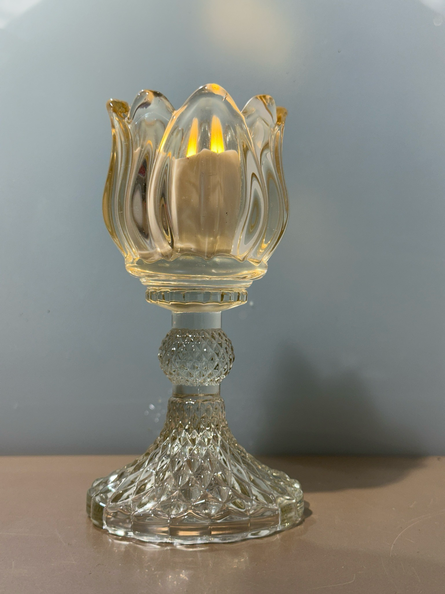 Tulp kanderlaar doorzichtig