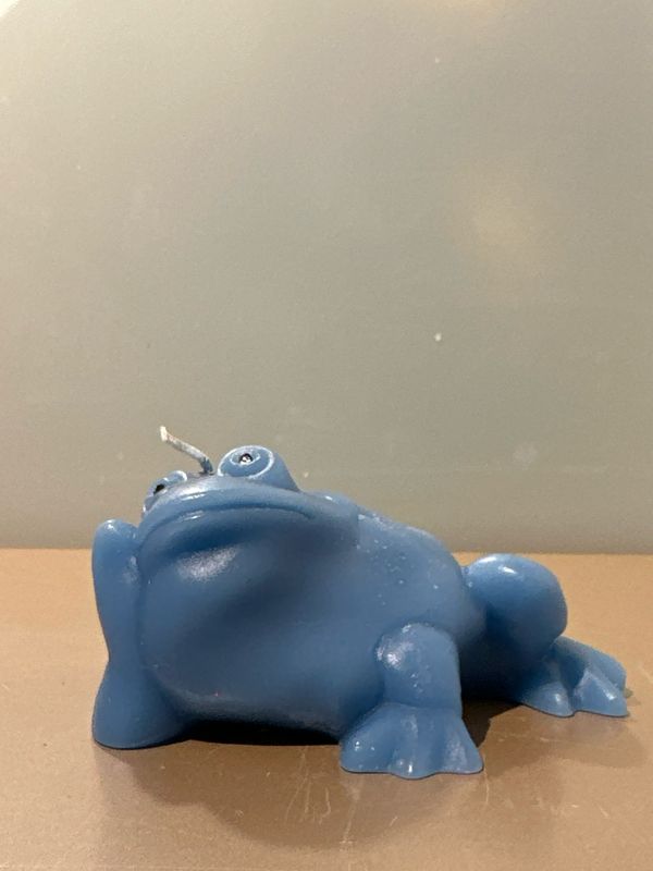 Kikker liggend kaars blauw