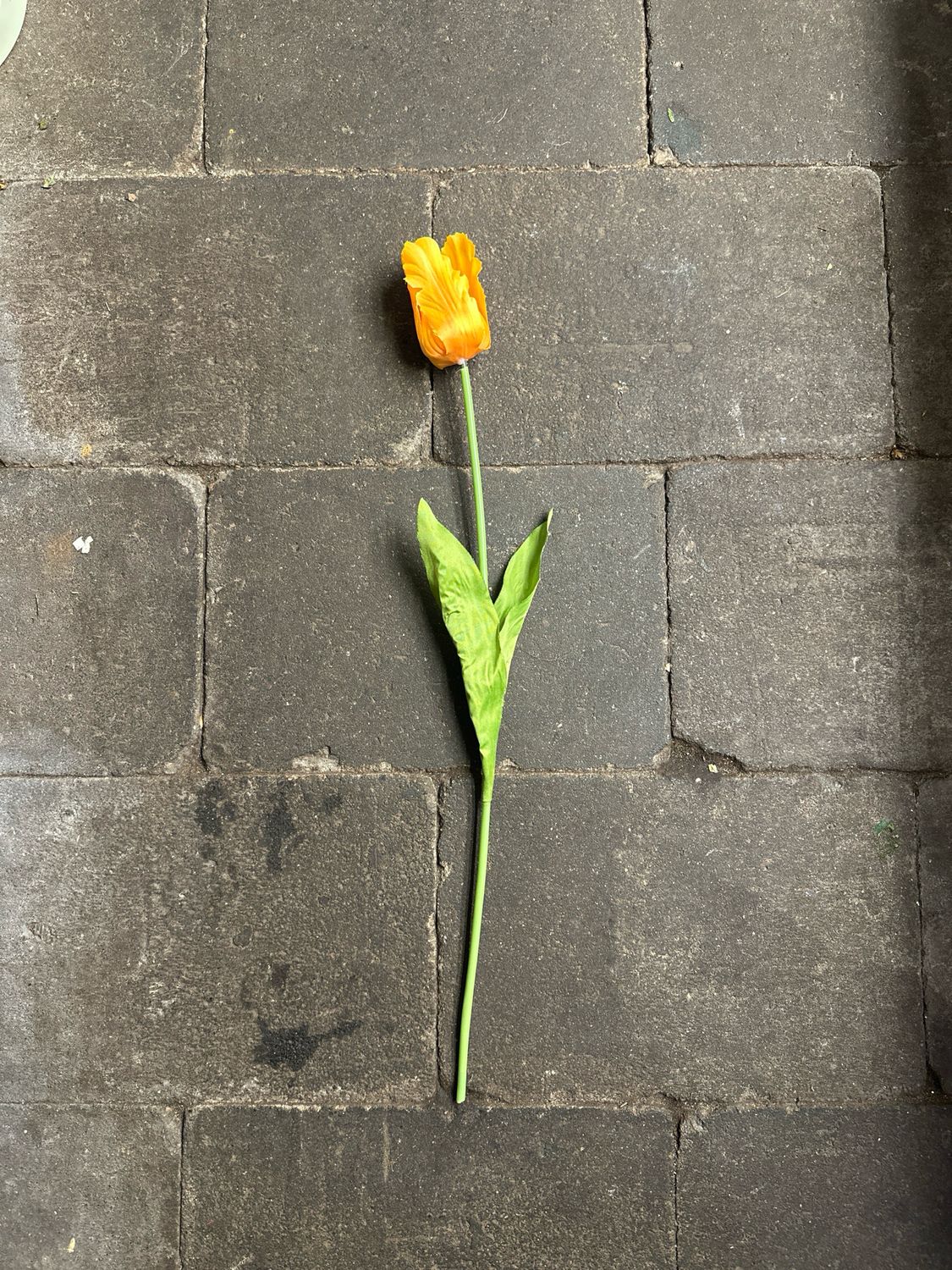 Zijde Parkiet Tulp Geel