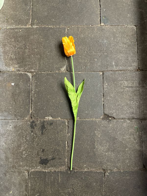 Zijde Parkiet Tulp Geel