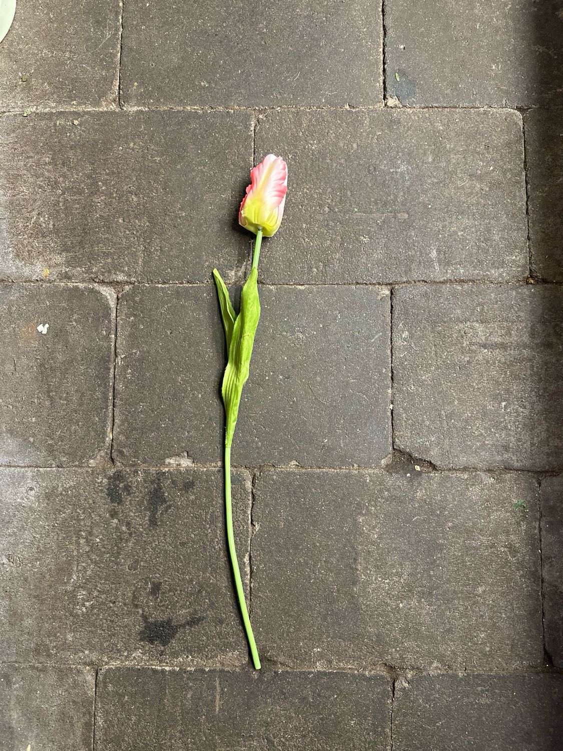 Zijde Parkiet Tulp Roze