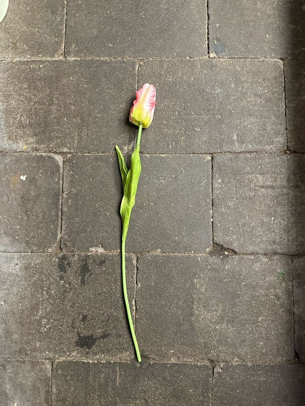 Zijde Parkiet Tulp Roze