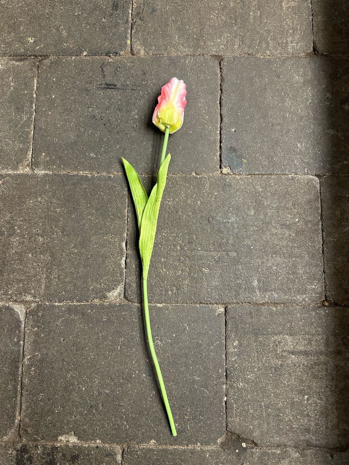 Zijde Parkiet Tulp Zalm