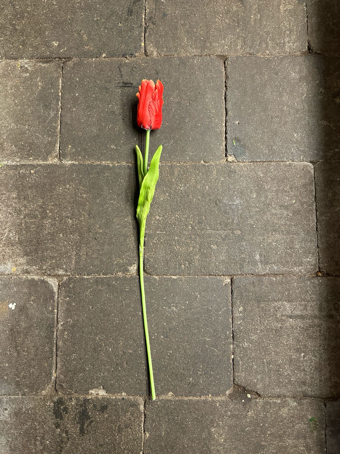 Zijde Parkiet Tulp Oranje